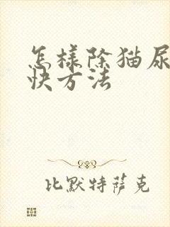 怎样除猫尿味最快方法