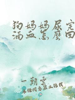 狗妈妈尿完滴几滴血怎么回事