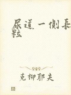 尿道一侧长小肉粒