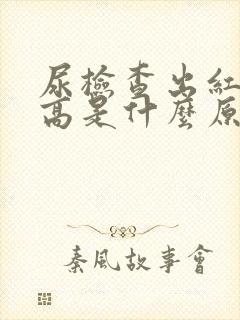 尿检查出红细胞高是什么原因