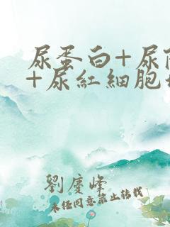 尿蛋白+尿隐血+尿红细胞增多