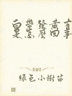 白带发黄有恶臭是怎么回事