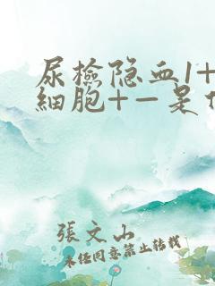 尿检隐血1+白细胞+—是什么意思