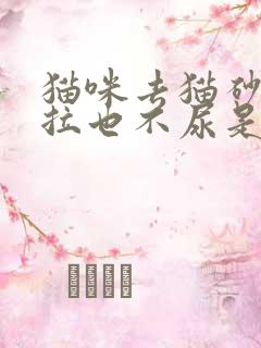 猫咪去猫砂盆不拉也不尿是怎么了