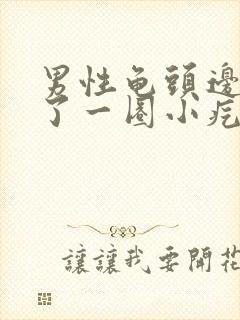 男性龟头边缘长了一圈小疙瘩