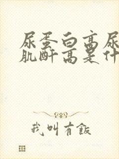 尿蛋白高尿酸高肌酐高是什么情况?