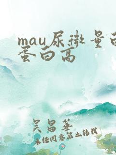 mau尿微量白蛋白高