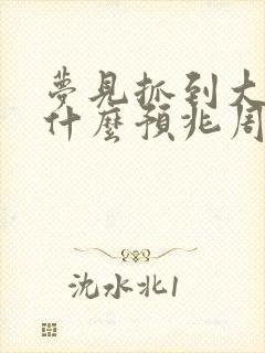 梦见抓到大蛇是什么预兆周公解梦