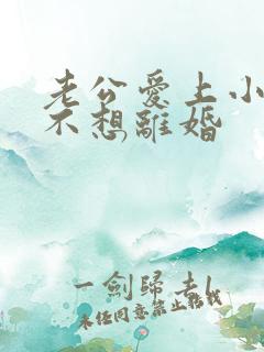 老公爱上小三我不想离婚