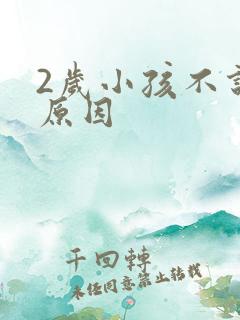 2岁小孩不说话原因