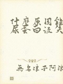 什么原因能引起尿蛋白流失