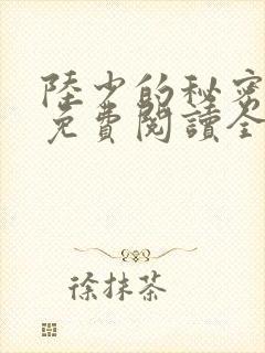 陆少的秘密恋人免费阅读全文