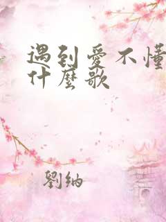 遇到爱不懂爱是什么歌