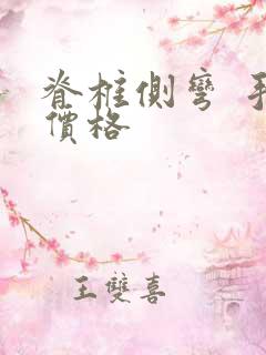 脊椎侧弯 手术价格