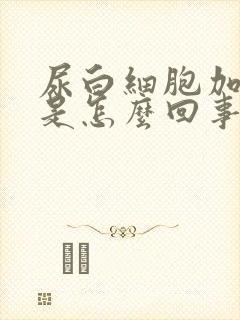 尿白细胞加减号是怎么回事