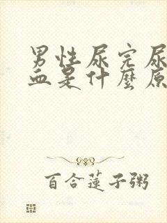 男性尿完尿后有血是什么原因