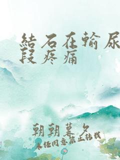 结石在输尿管下段疼痛