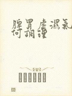 脾胃虚湿气重如何调理