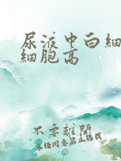 尿液中白细胞红细胞高