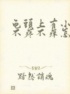 龟头上有小疙瘩不疼不痒怎么回事