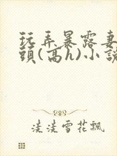 玩弄暴露妻子奶头(高h)小说