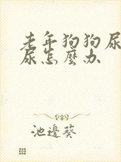 老年狗狗尿不出尿怎么办