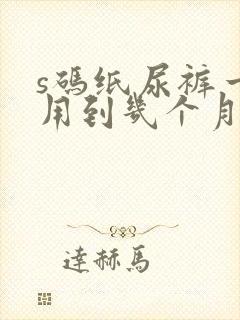 s码纸尿裤一般用到几个月