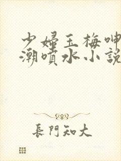 少妇玉梅呻吟高潮喷水小说