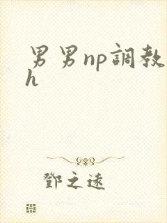 男男np调教高h