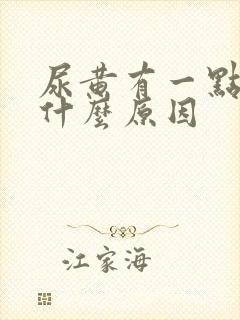 尿黄有一点稠是什么原因