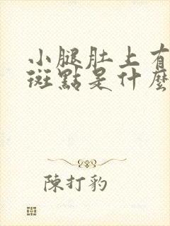 小腿肚上有白色斑点是什么原因