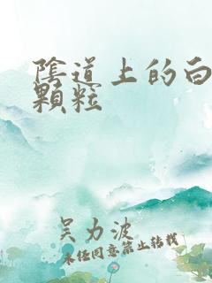 阴道上的白色小颗粒