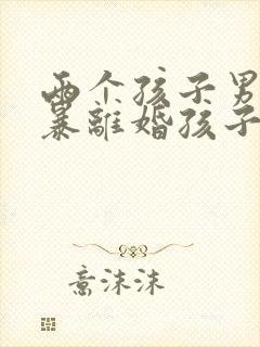 两个孩子男方家暴离婚孩子归谁