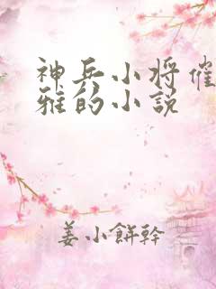 神兵小将催眠问雅的小说