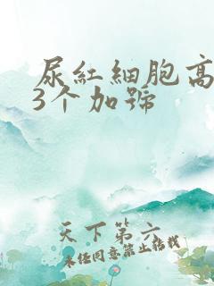 尿红细胞高潜血3个加号