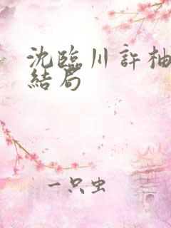 沈临川许柚宁大结局