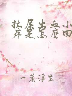 拉屎出血小肚子疼是怎么回事