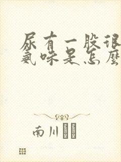 尿有一股很重的氨味是怎么回事