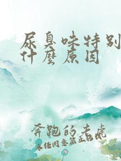 尿臭味特别重是什么原因