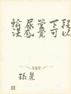 输尿管下段结石没感觉可以不管吗