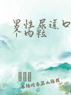 男性尿道口长两个肉粒