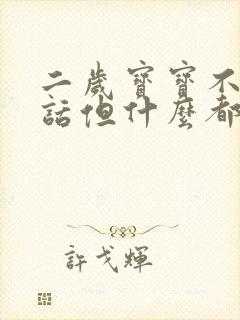 二岁宝宝不会说话但什么都听懂