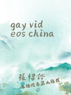gay videos china