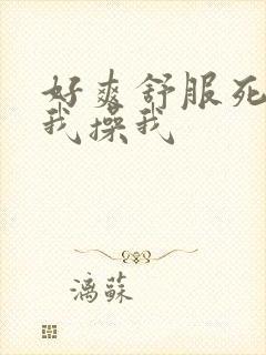 好爽舒服死了干我操我