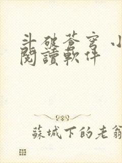 斗破苍穹 小说阅读软件