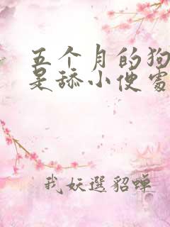 五个月的狗狗总是舔小便处怎么办