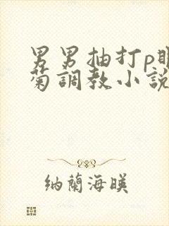 男男抽打p眼鞭菊调教小说