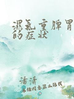 湿气重脾胃不好的症状