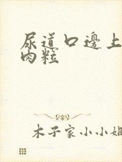 尿道口边上有小肉粒