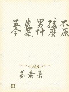 五岁男孩不听指令是什么原因